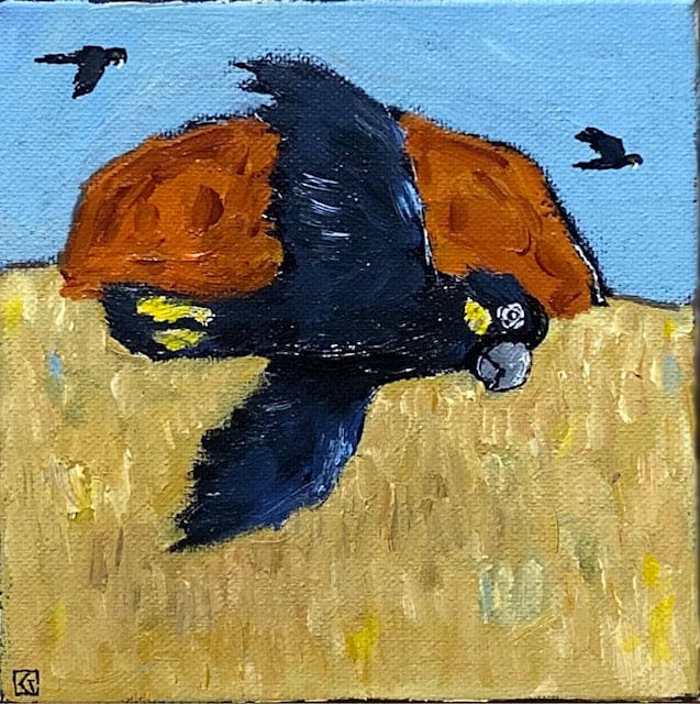 Black Cockatoo, Red Rock - Karen Gray