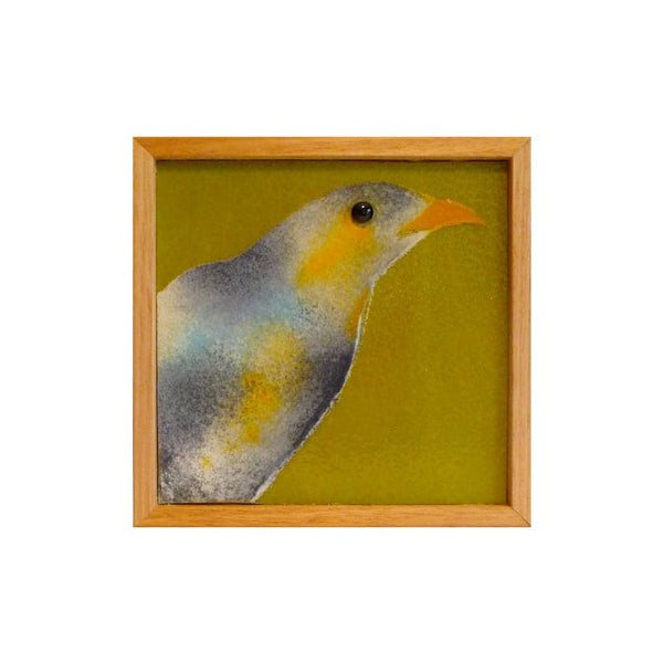 Noisy Miner - Glass Art by Grace Turner