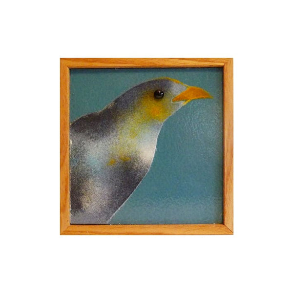 Noisy Miner - Glass Art by Grace Turner
