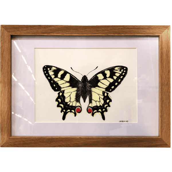 Butterfly Study - original artwork by Talia Seren - Clayfire Gallery Daylesford Art Gallery