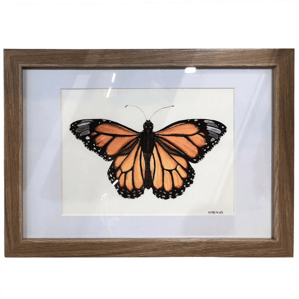 Butterfly Study - original artwork by Talia Seren - Clayfire Gallery Daylesford Art Gallery