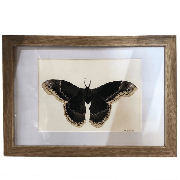 Butterfly Study - original artwork by Talia Seren - Clayfire Gallery Daylesford Art Gallery